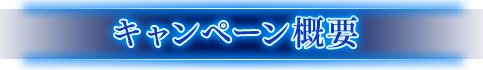 キャンペーン概要